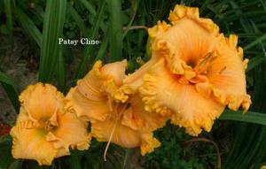 Patsy Cline (Smith, Fr., 2008)